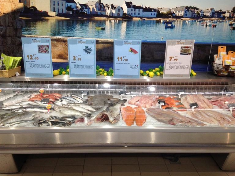 vitrine_poisson_a-z-1.jpg